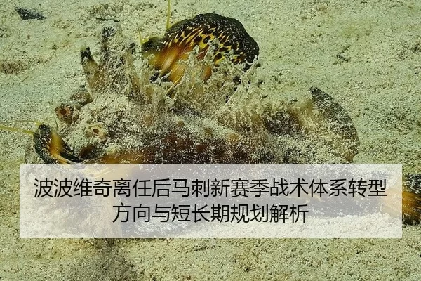 波波维奇离任后马刺新赛季战术体系转型方向与短长期规划解析